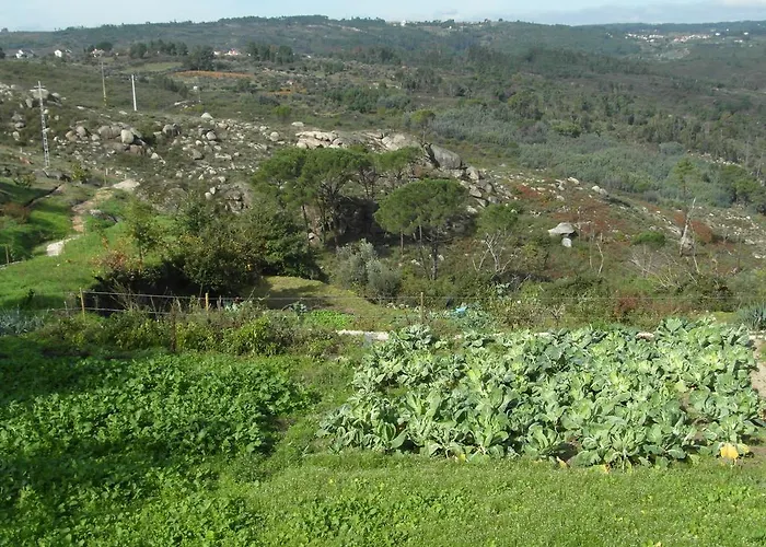 Casa Da Bocha منزل ريفي Cativelos