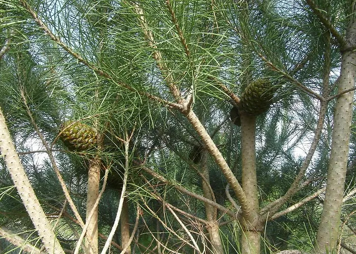 Casa Da Bocha منزل ريفي