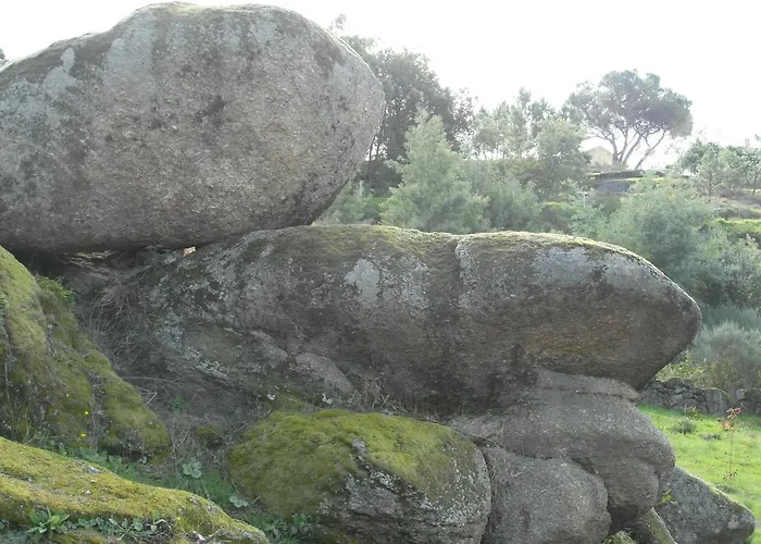 Casa Da Bocha منزل ريفي *